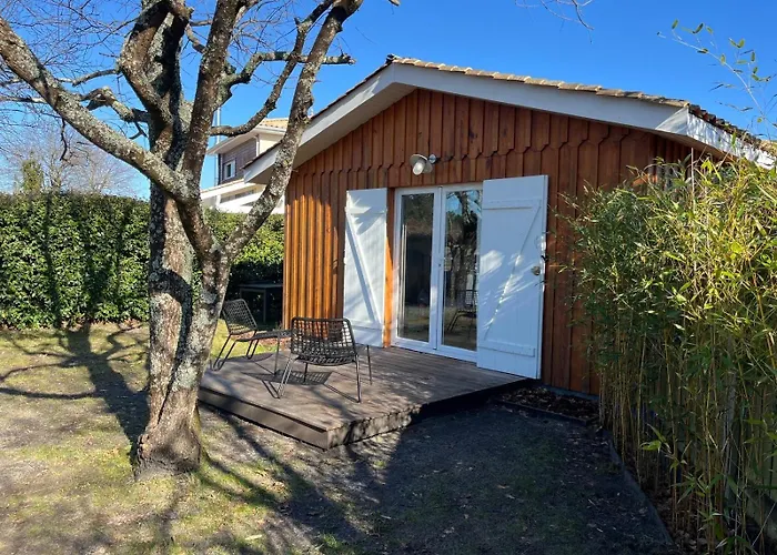 Chalet Cosy
