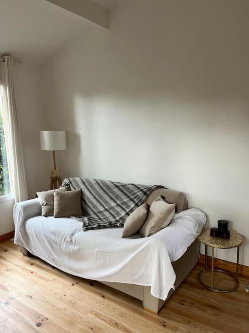Cosy *