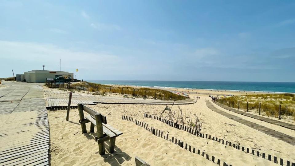 Cosy * Lege-Cap-Ferret